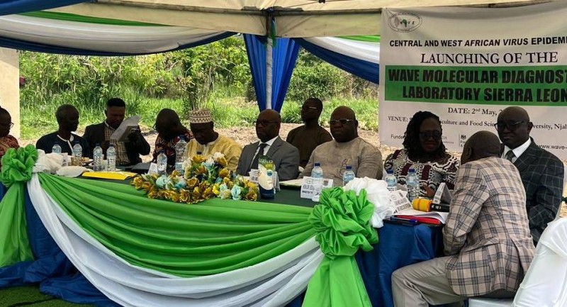 SierraLeone2