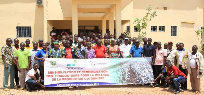 Remobilisation des cotonculteurs