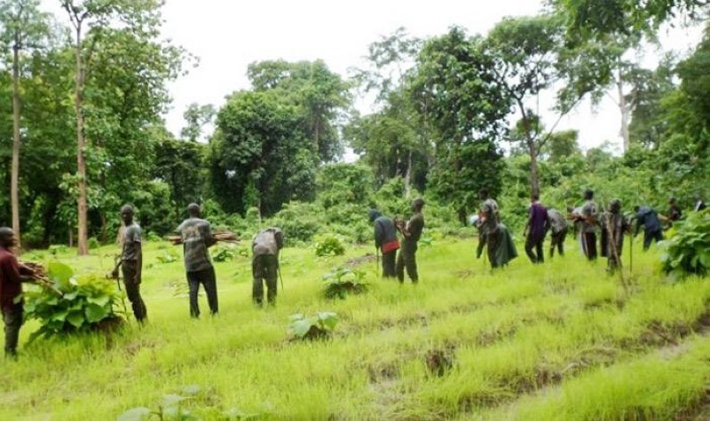 Des agents des eaux et forêts à la recherche du buffle tueur. (Ph: Dr)