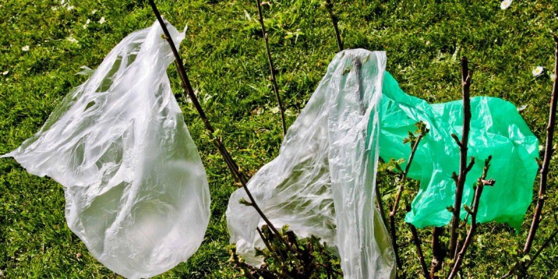 Sac plastique: (PH: DR)