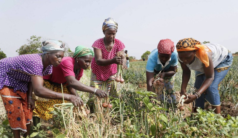 Securité Alimentaire