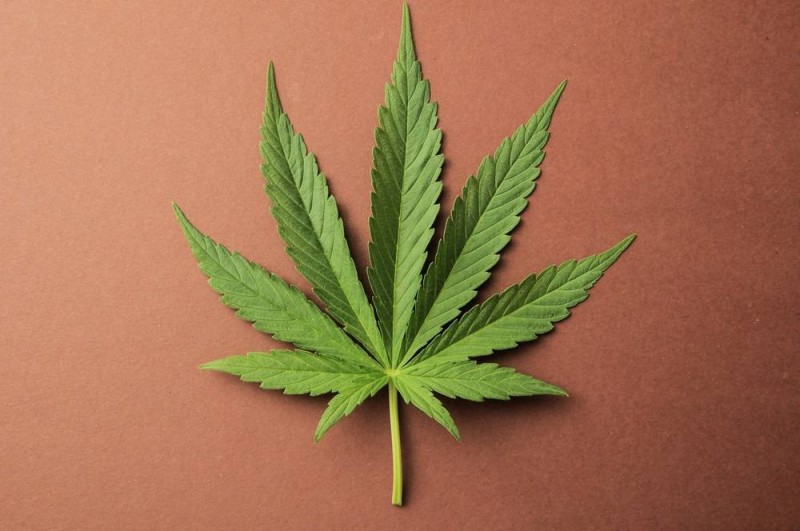 cannabis-2022