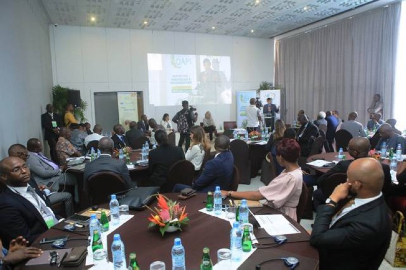Les participants à l’atelier régional de l’AfrIPI (Dr)