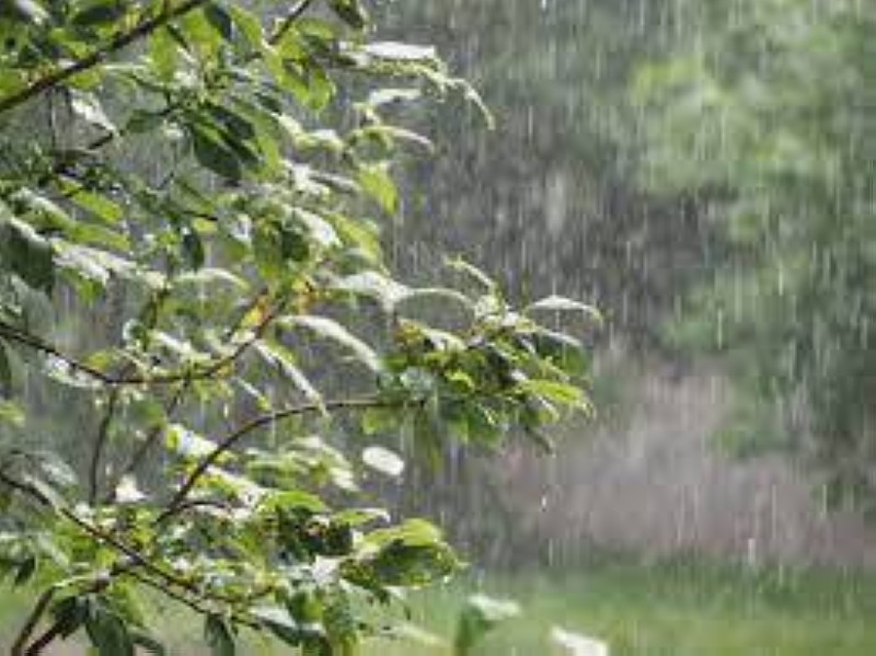 Météo: les prévisions du 10 août 2023 sur Abidjan. (Ph:DR)