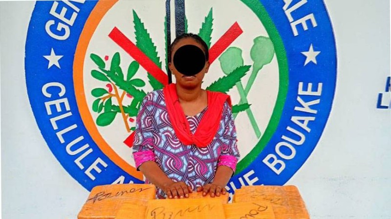 La dame répondra de ses actes devant la justice. (Ph: CAD de la gendarmerie)