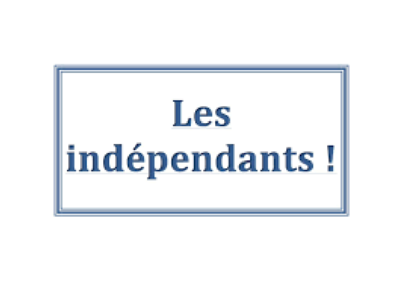 Leçons des élections municipales : Les sans étiquette perdent des plumes. (Ph:DR)