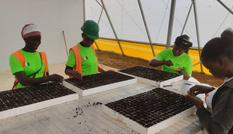 Les Centres de Services et de Formation Agricoles contribuent à revitaliser le secteur agricole ivoirien