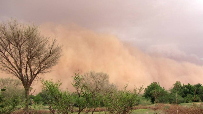 Ph:Ird