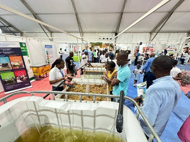 La Fao a profité de l’opportunité du Sara pour expliquer aux visiteurs de son stand, les avantages de l'aquaponie. (DR)