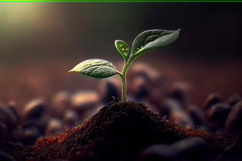 Climat et résilience (Photo DR)