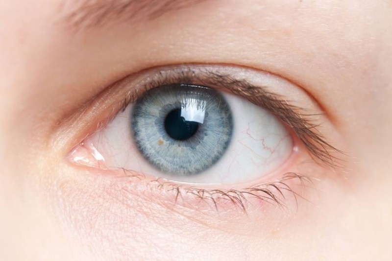 Close-up of human blue eye