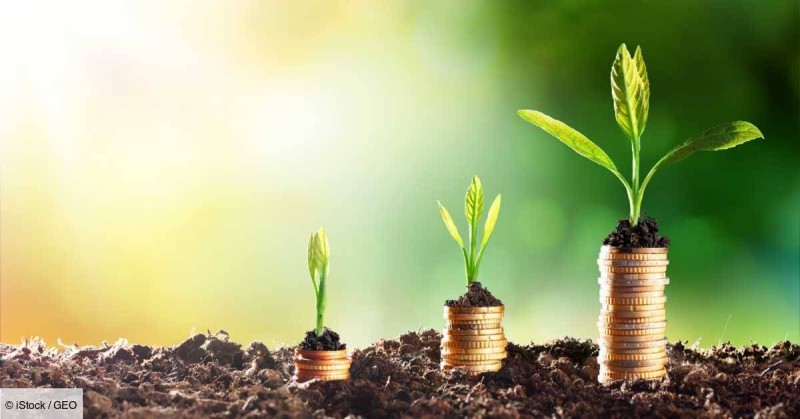la croissance verte, la philosophie du développment durable (DR)
