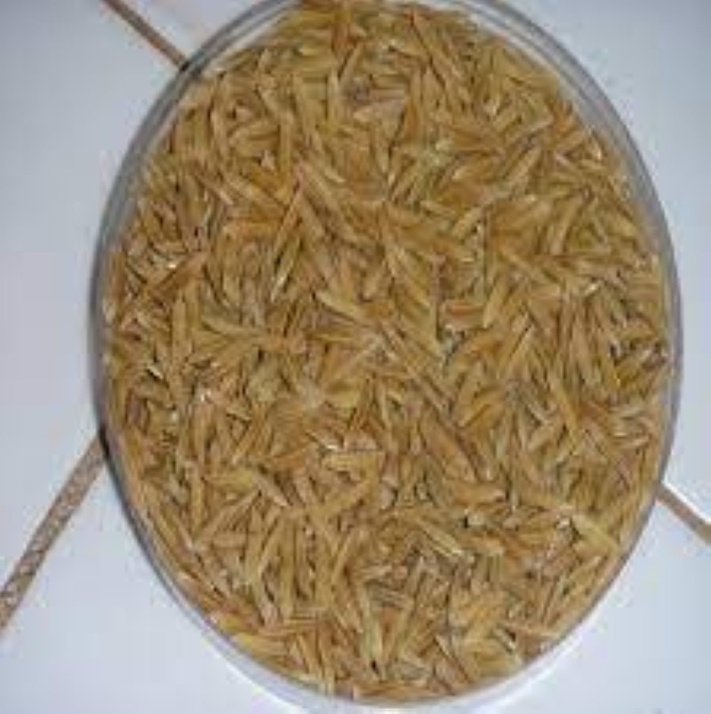 Une semence de  riz  (DR)