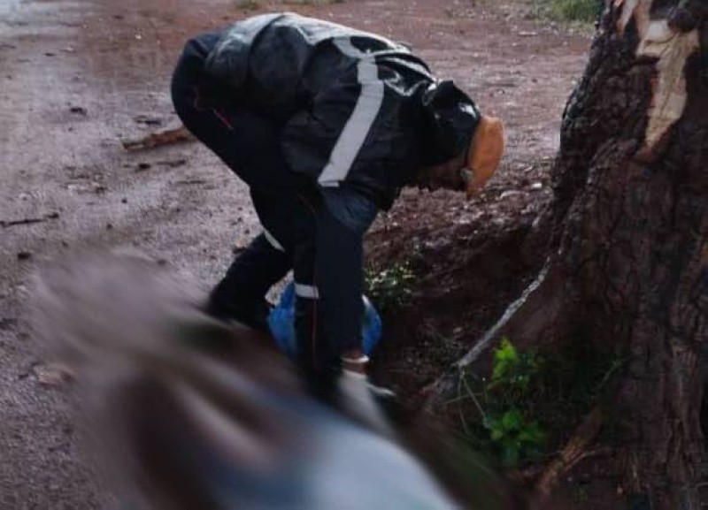 Les deux enfants ont été tués près un arbre. (Dr)