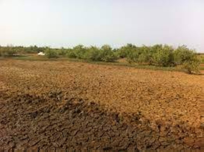 Une politique de gestion des terres. (Ph: Dr)