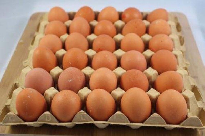 Des oeufs. (DR)