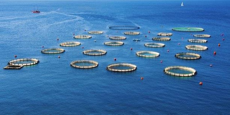 aquaculture