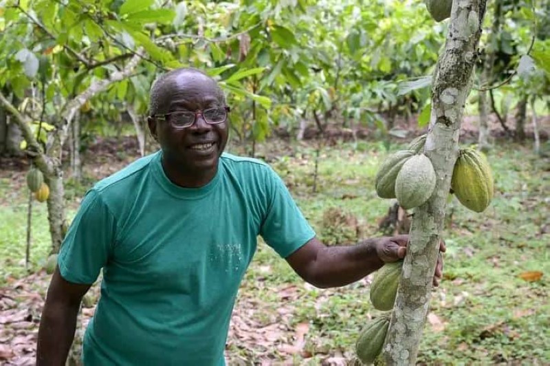 N'ko Ambroise, cacaoculteur à Azaguié. (Ph: Dr)