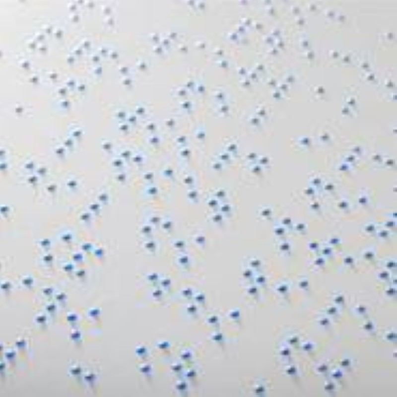 Braille. (Ph:Dr)