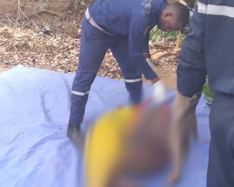 L'une des dépouilles mortelles extraites du puits. (Ph: Onpc)