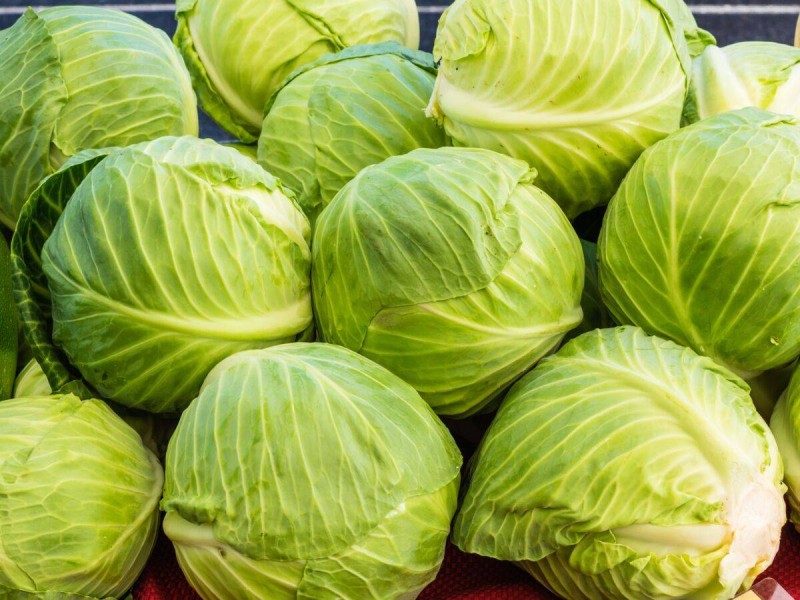 chou-vert-ses-bienfaits-et-10-recettes-legeres-et-gourmandes