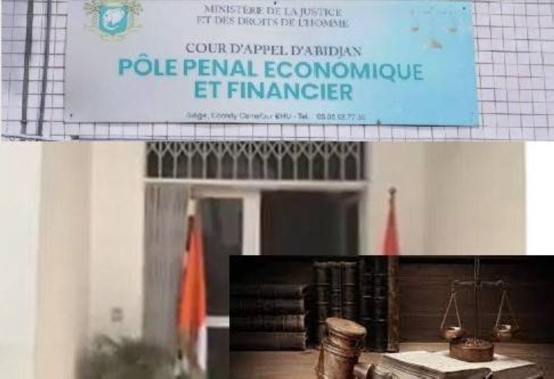 Pole penal économique et financier