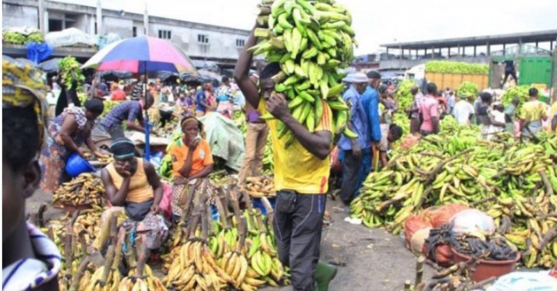 De la banane plantain sur le marché. (Ph: Dr)