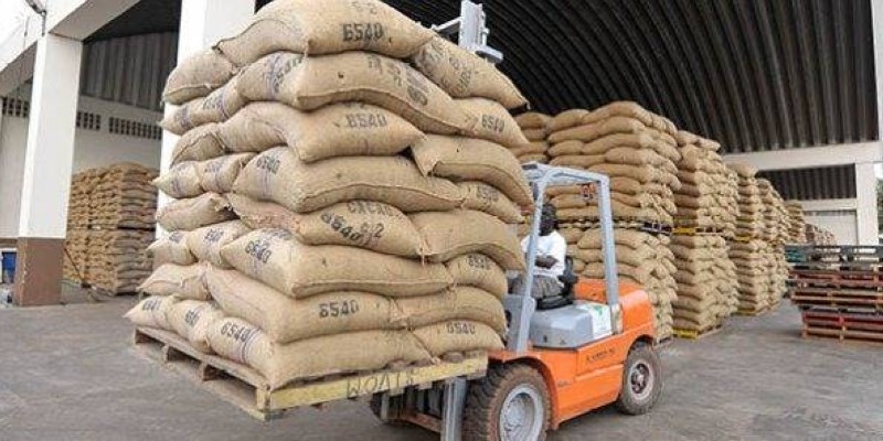 Les voleurs des 42 tons de Cacao toujours dans la nature. (DR)