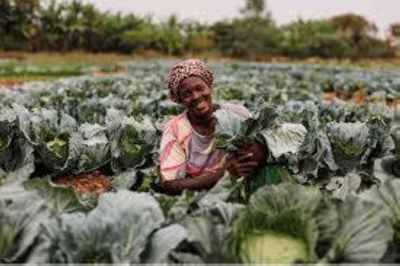 La femme dans l'économie. (DR)