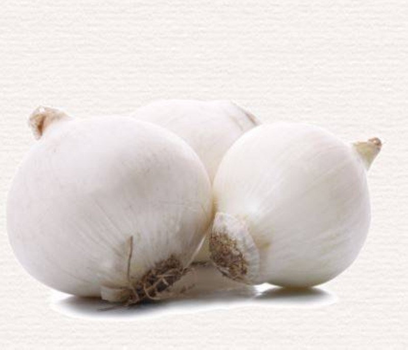 L'oignon blanc.(Ph:Dr)