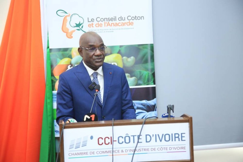Dr Adama Coulibaly, directeur général du Conseil du coton et de l'anacarde. (DR)