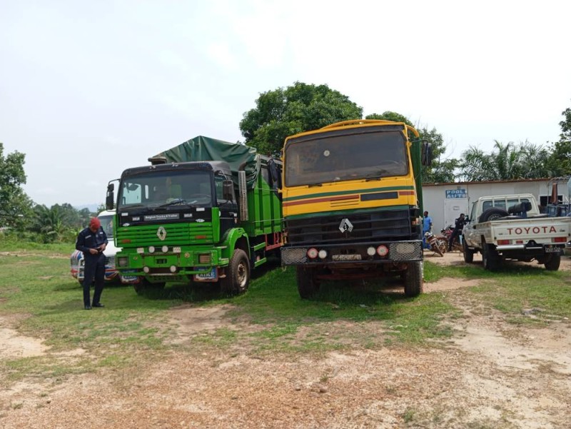 Une vue des camions saisis. (Ph: Dr)