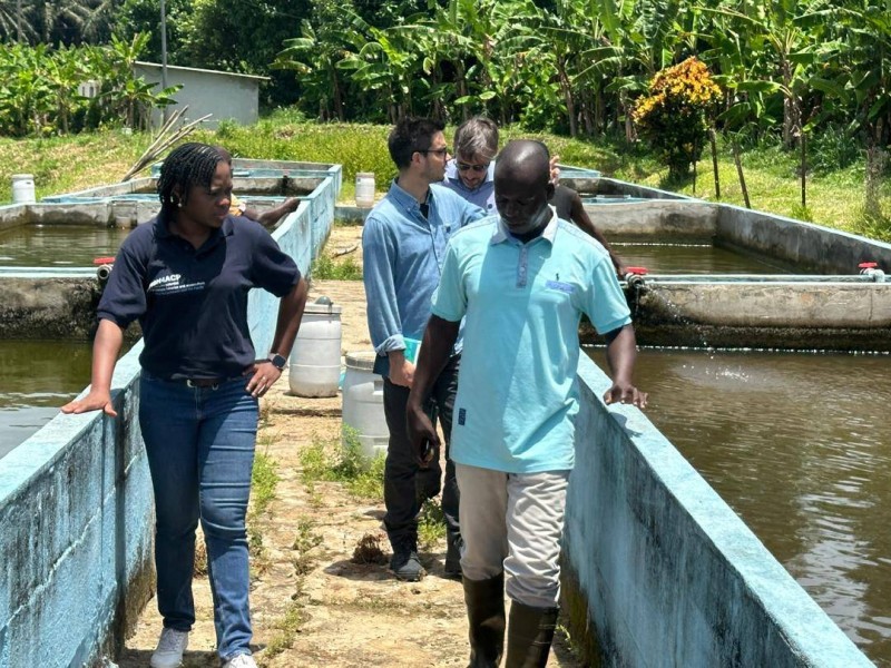 La station d’alevinage de Mopoyem, s’étend sur une superficie de 3,5 hectares. (DR)