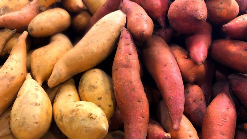 La patate douce rouge et jaune. (Ph: Dr)