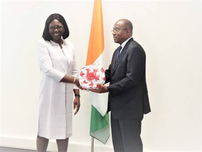 Le ministre Koffi N'Guessan et son homologue gabonais ont eu des échanges fructueux pour la formation dans les deux pays. (Ph: Dr)