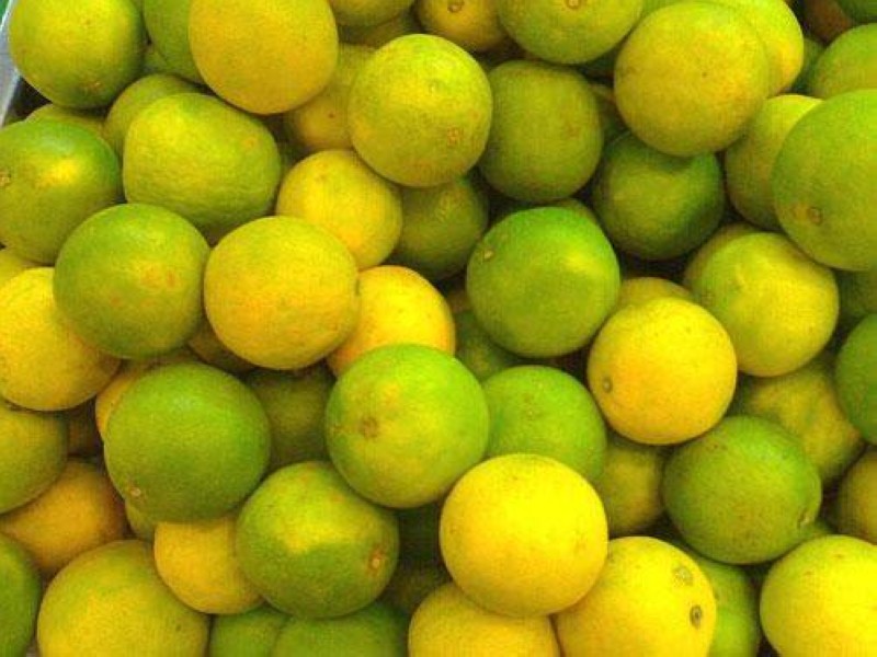 Le citron . (Ph: Dr)