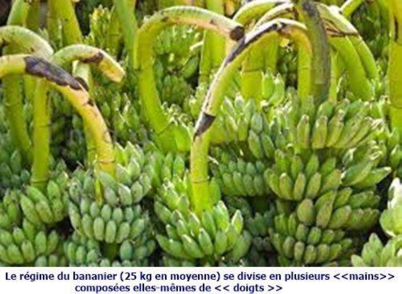 L'agriculture à l'honneur en mai 2025. (DR) 