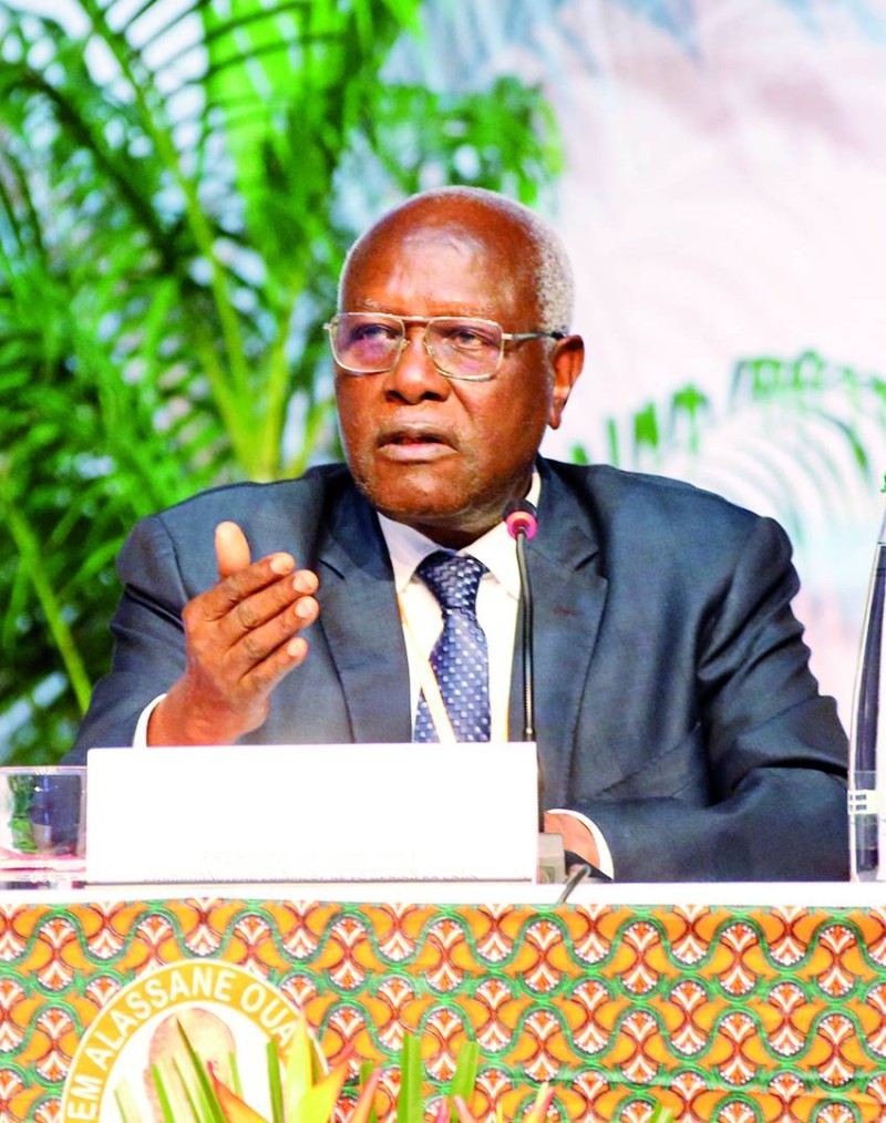 La Grande réunion du Rhdp a été présidée par le président du directoire, Gilbert Kafana Koné (PH: Poro Dagnogo)