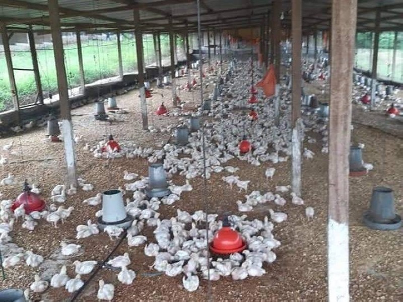 Une ferme
