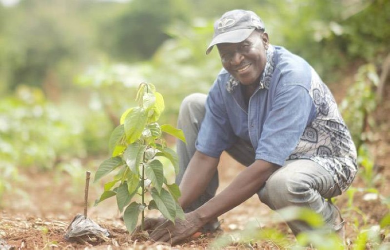 Un homme plantant un arbre. (Ph: Projet PRE)