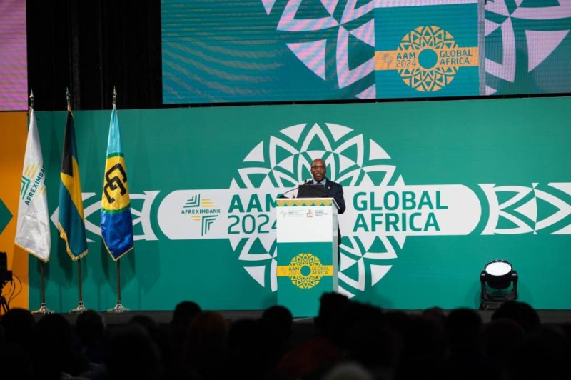 Dr Yemi Kale, économiste en chef d'Afreximbank