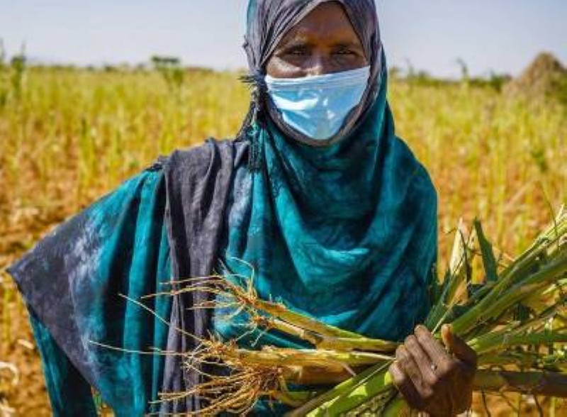 La courbe de la faim dans le monde est en diminution régulière. (Ph:Dr)