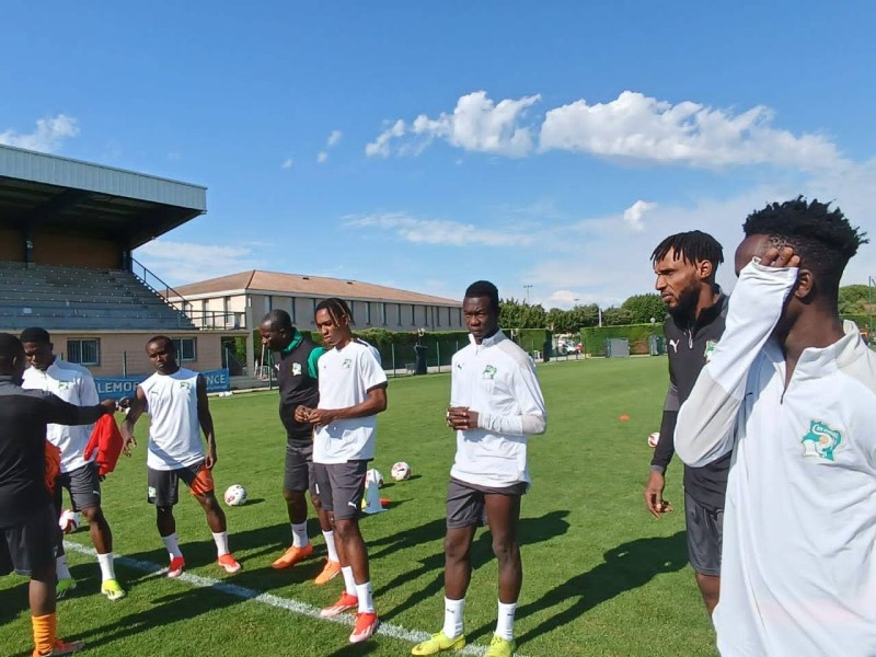 Les Eléphanteaux à l'entrainement (DR)