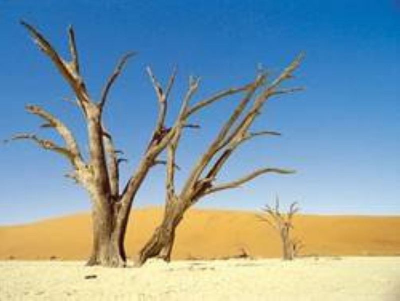 Le desert. (Ph:Dr)