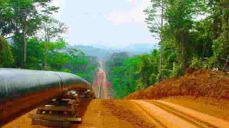 Niger, le pipeline en construction (archive). businessincameroon.com