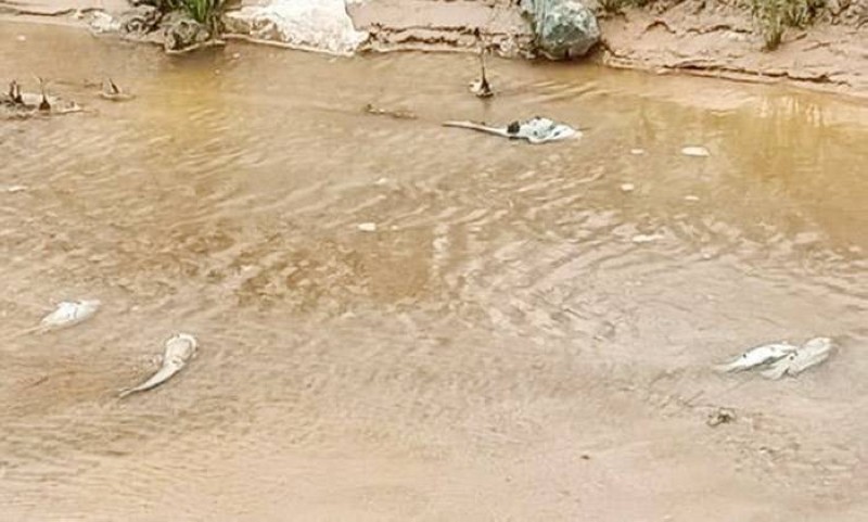 Le fleuve Cavally pollué, l'opérateur minier invité à prendre toutes les mesures nécessaires pour circonscrire l'incident. (Ph: Dr)