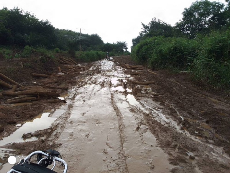 Une vue de la voie menant au village de Tiôkô à la côtière. (Ph: Dr)