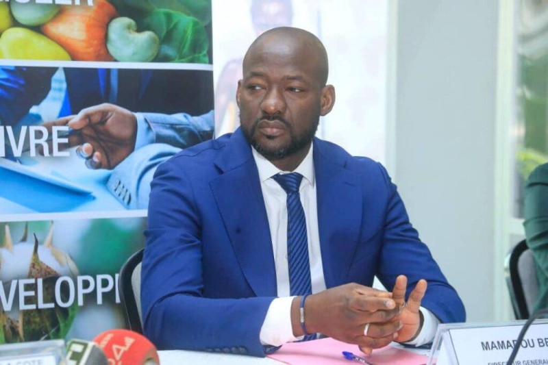 Mamadou Berté a été nommé en remplacement d'Adama Coulibaly, anciennement DG du Conseil coton-anacarde. (Ph: Dr)