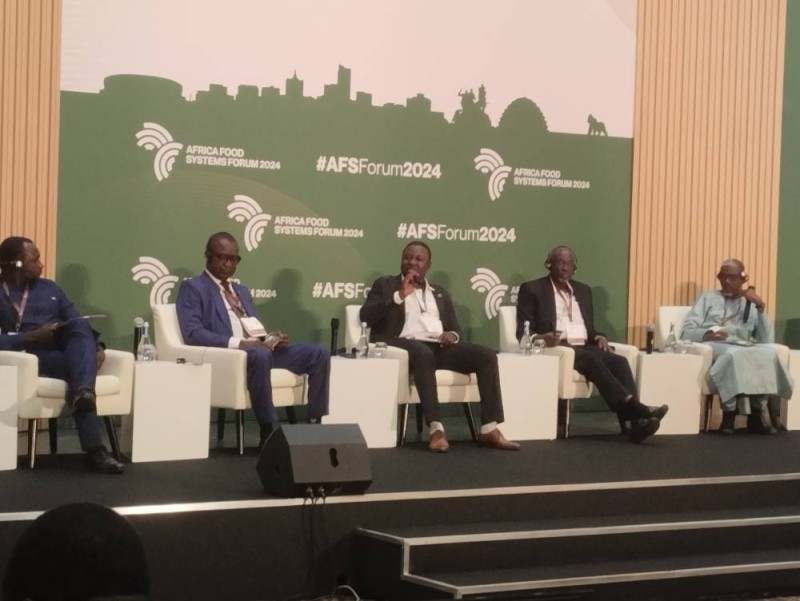 Les panels ont permis de proposer des solutions pour le développement du secteur rizicole en Afrique. (Ph: Dr)