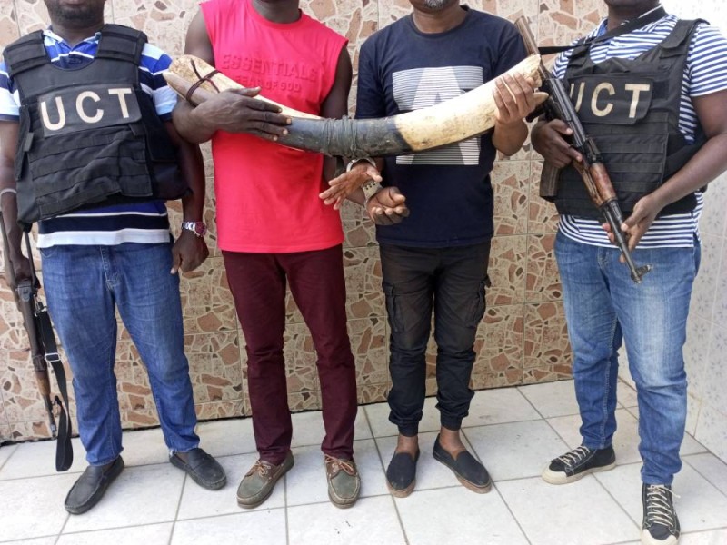 Les trafiqants n'ont pas pu vendre leur marchandise. (DR)